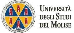 link at Universita' del Molise