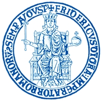 link at Dip. di Scienze della Terra - Universita' di Napoli